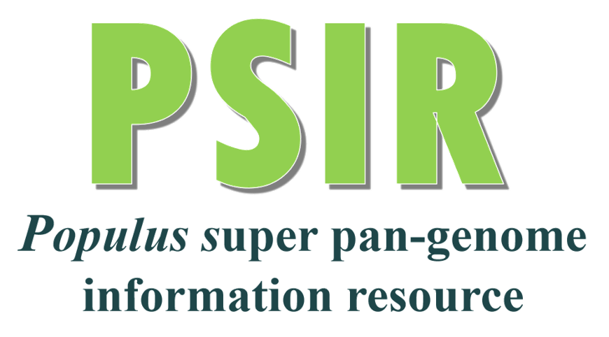 PSIR:Populus super pan-genome information resource